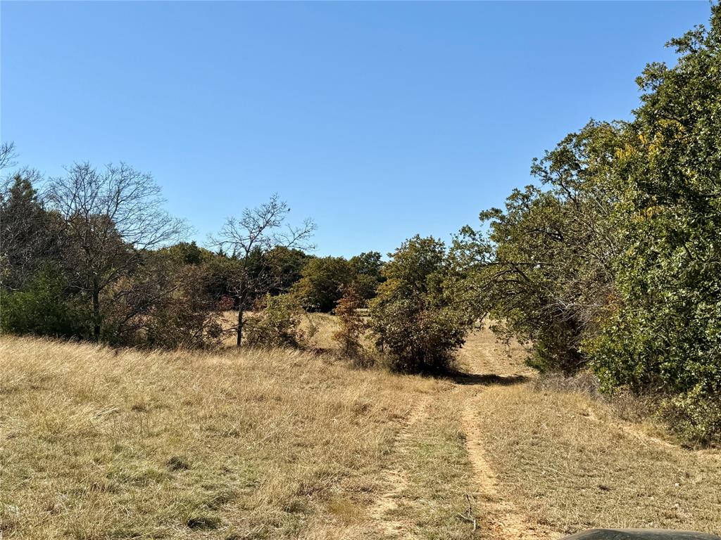 2753 Big Tree Road Montague, TX 76251 - Photo 22 of 40 a view of a yard with a tree