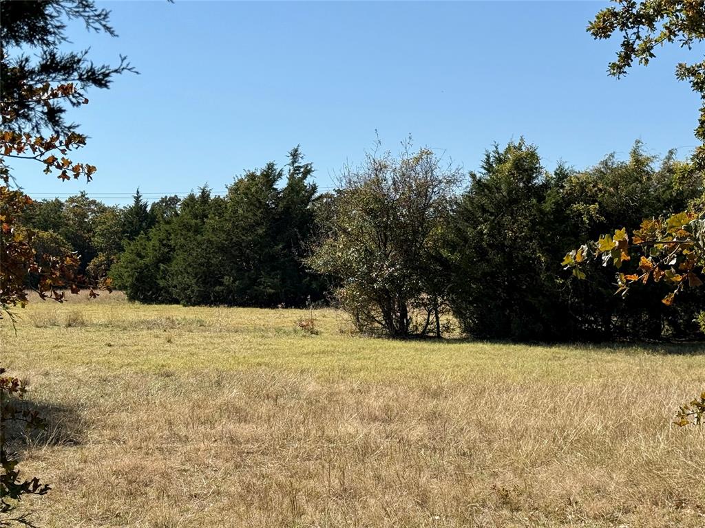 2753 Big Tree Road Montague, TX 76251 - Photo 24 of 40