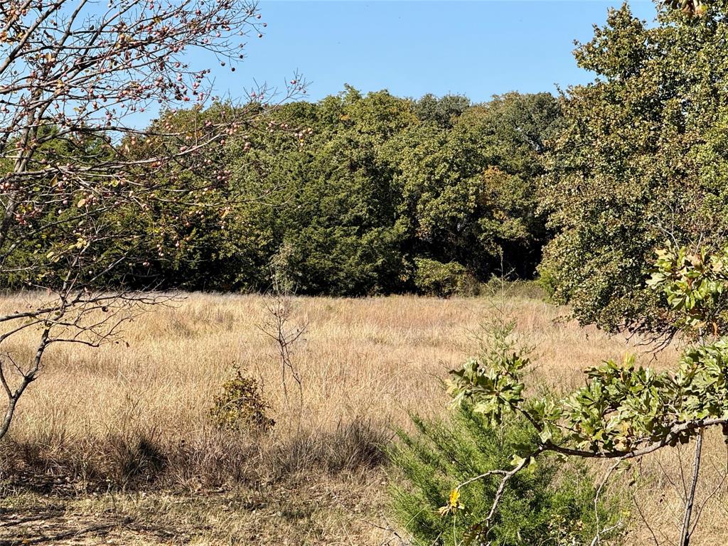 2753 Big Tree Road Montague, TX 76251 - Photo 26 of 40 a view of a yard covered with snow