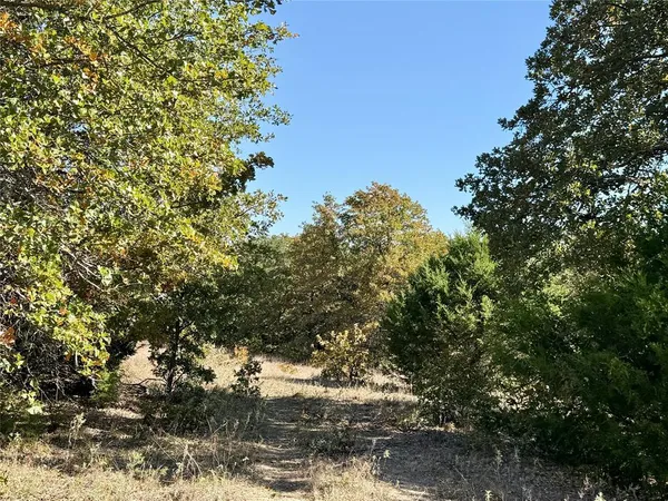 a view of a tree