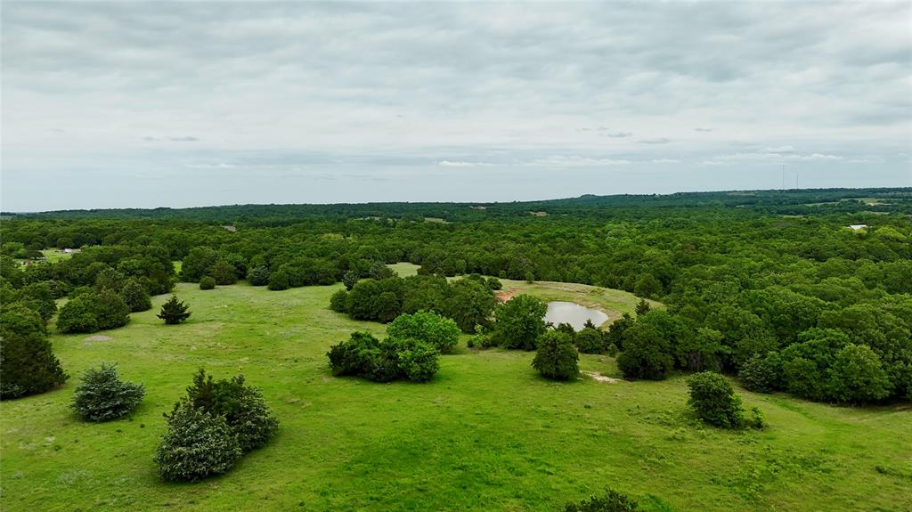 2753 Big Tree Road Montague, TX 76251 - Photo 34 of 40 a view of a garden with an buildings