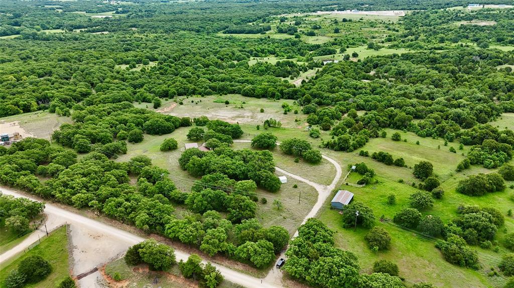 2753 Big Tree Road Montague, TX 76251 - Photo 36 of 40 a view of a garden with plants