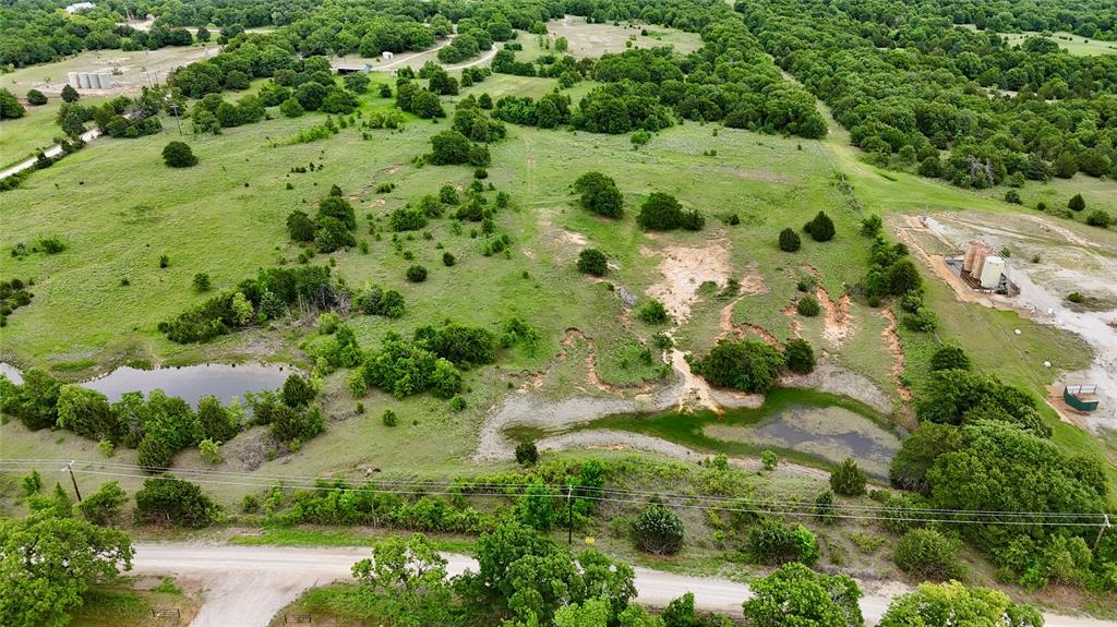 2753 Big Tree Road Montague, TX 76251 - Photo 39 of 40 a view of a garden with a tree