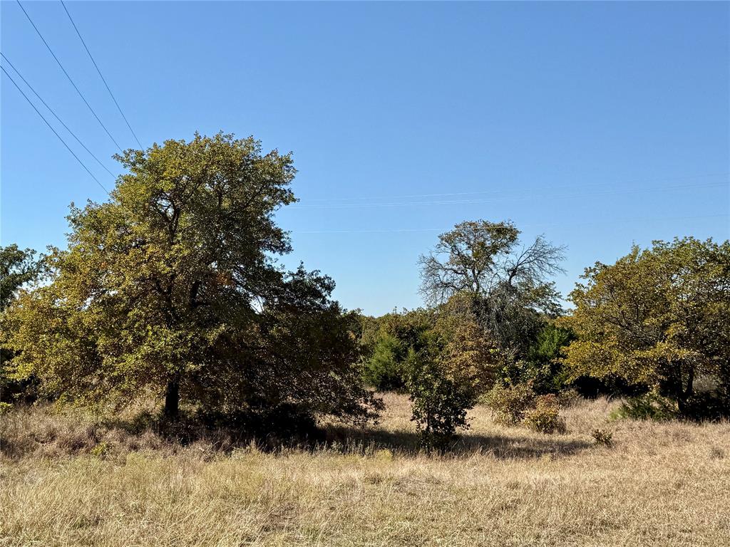 2753 Big Tree Road Montague, TX 76251 - Photo 5 of 40 a view of a yard