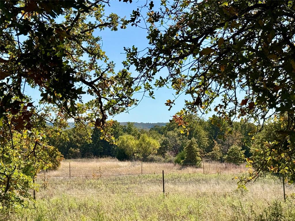 2753 Big Tree Road Montague, TX 76251 - Photo 8 of 40 a view of ocean view