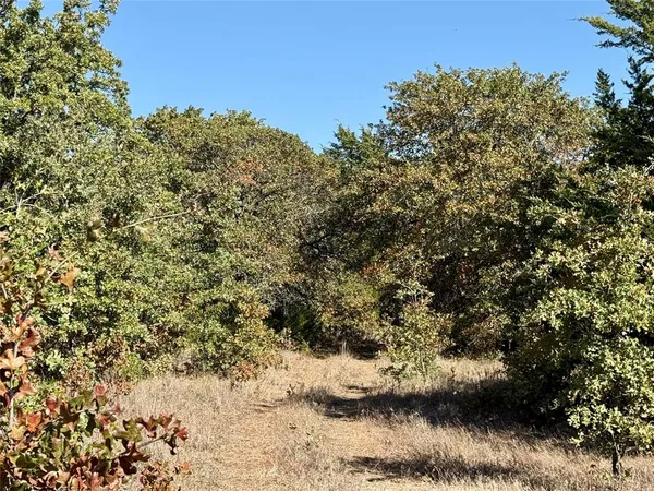 a view of a dry yard with lots of green space