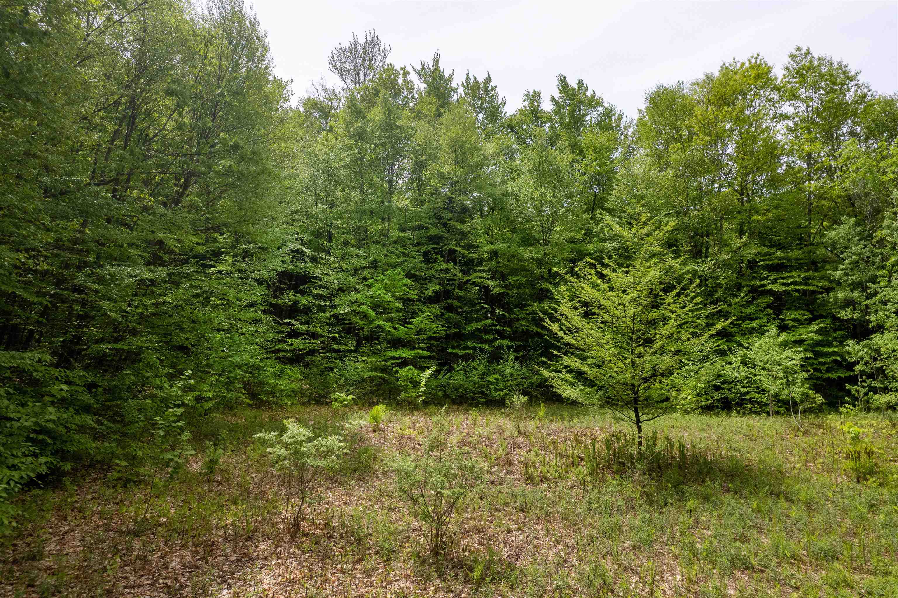 0 Spencer Meadows, Unit 5 Rutland, VT 05701 - Photo 11 of 12
