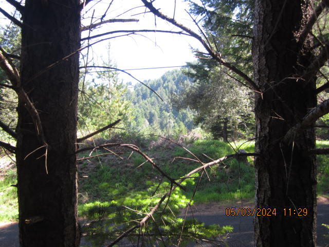 232 Nob Hill Road Shelter Cove, CA 95589 - Photo 4 of 20