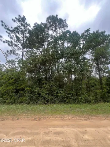 $35,000 | 0 Brandon Road, Fountain, FL 32438