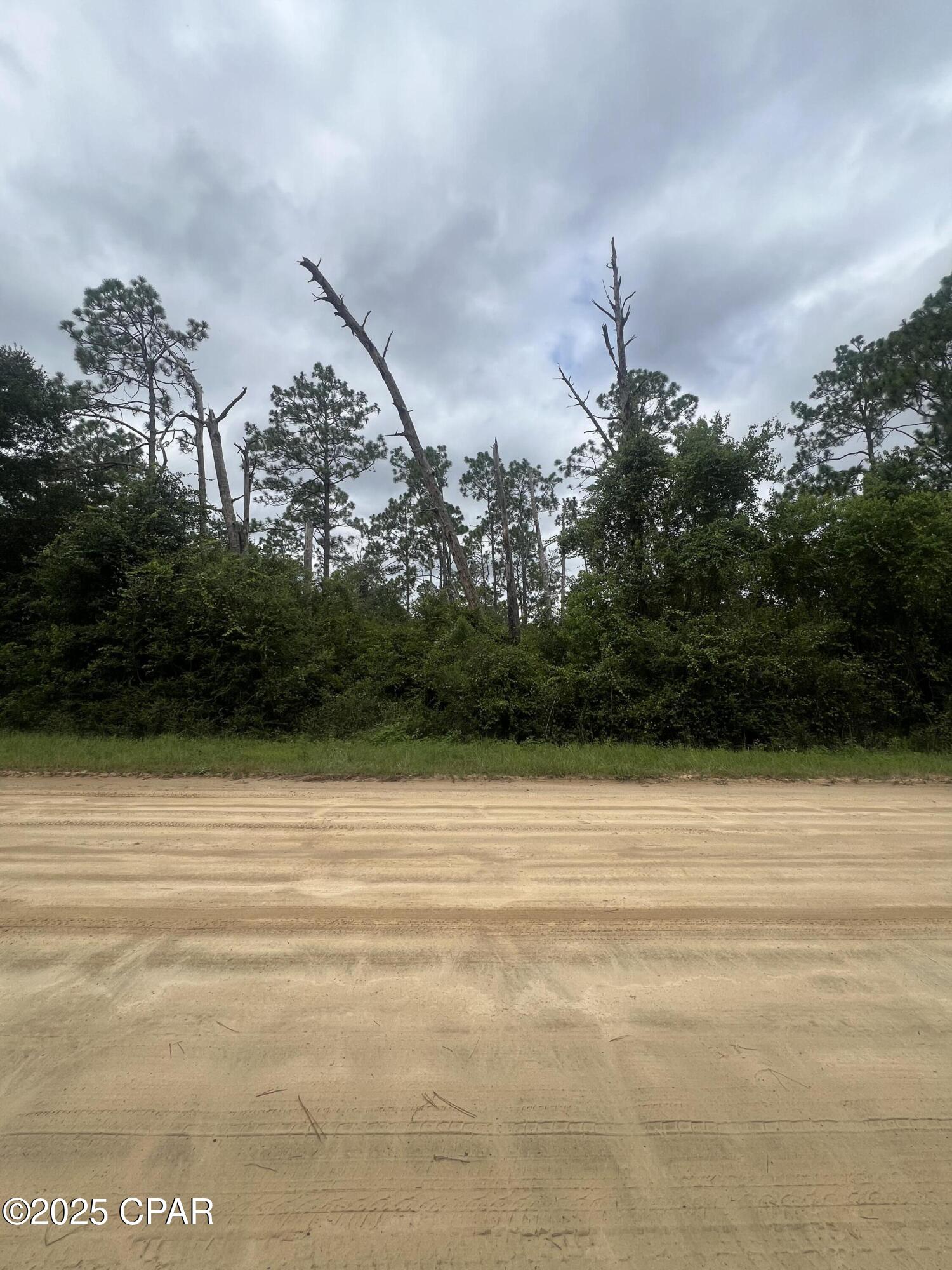 0 Brandon Road Fountain, FL 32438 - Photo 3 of 9