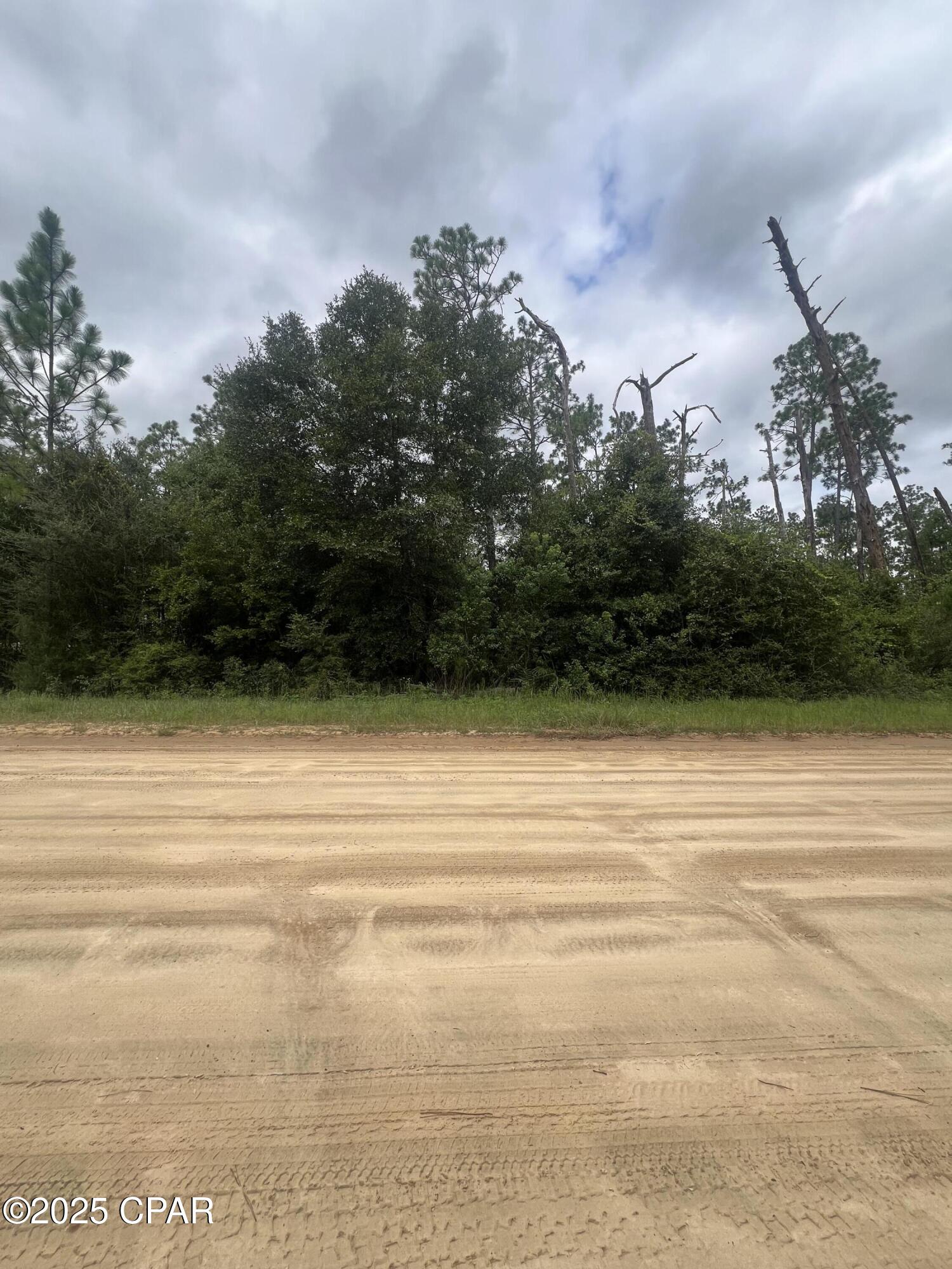 0 Brandon Road Fountain, FL 32438 - Photo 4 of 9