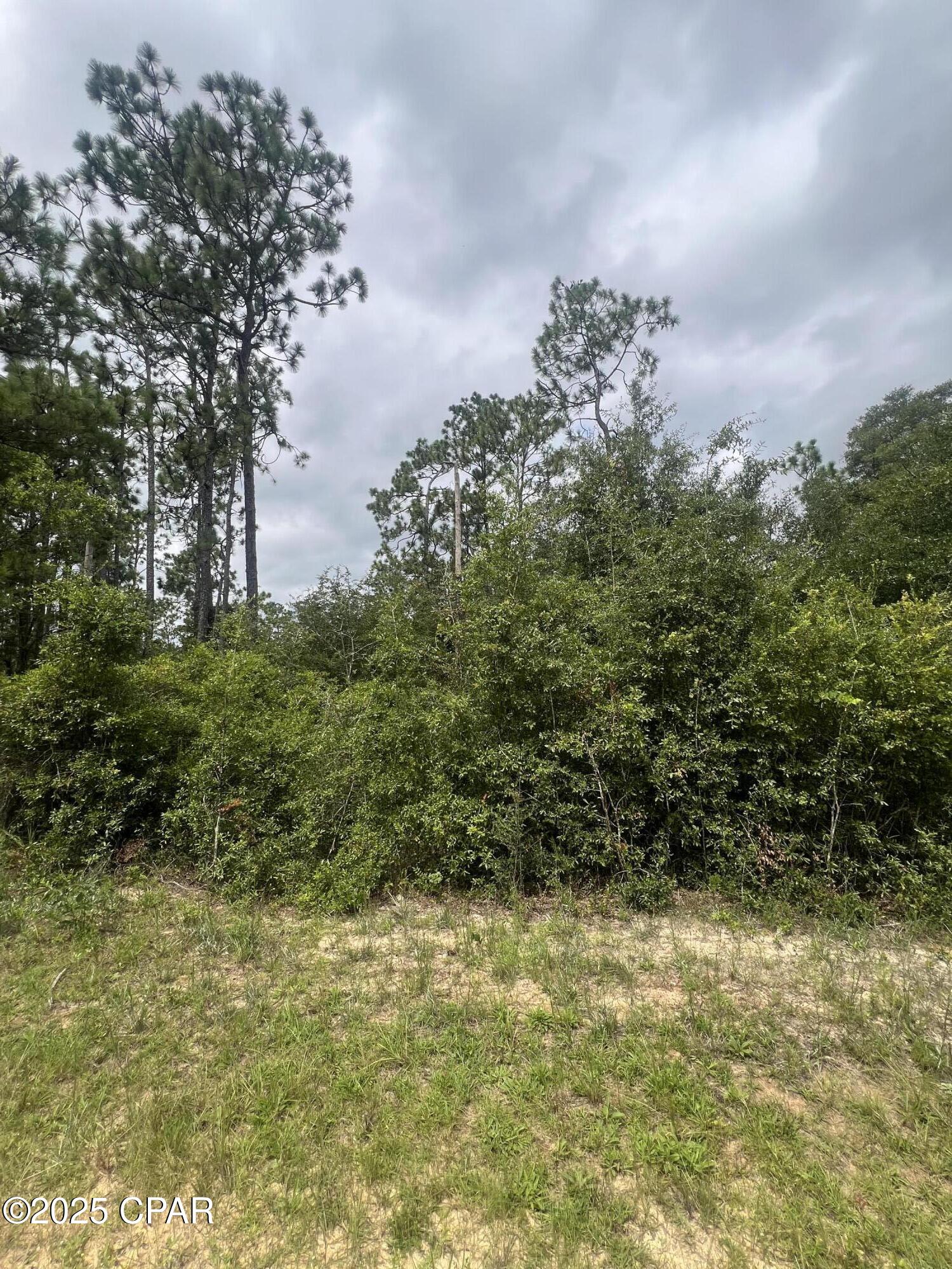 0 Brandon Road Fountain, FL 32438 - Photo 5 of 9