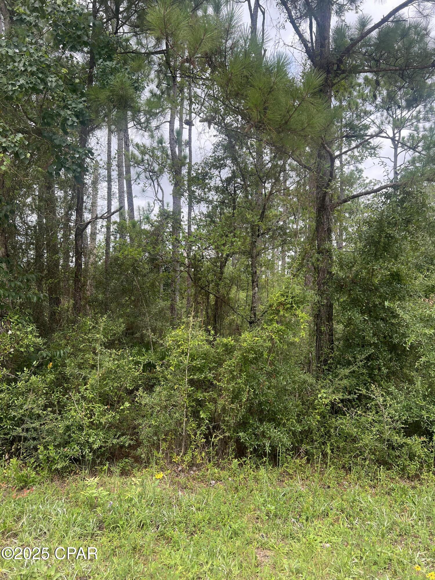 0 Brandon Road Fountain, FL 32438 - Photo 6 of 9