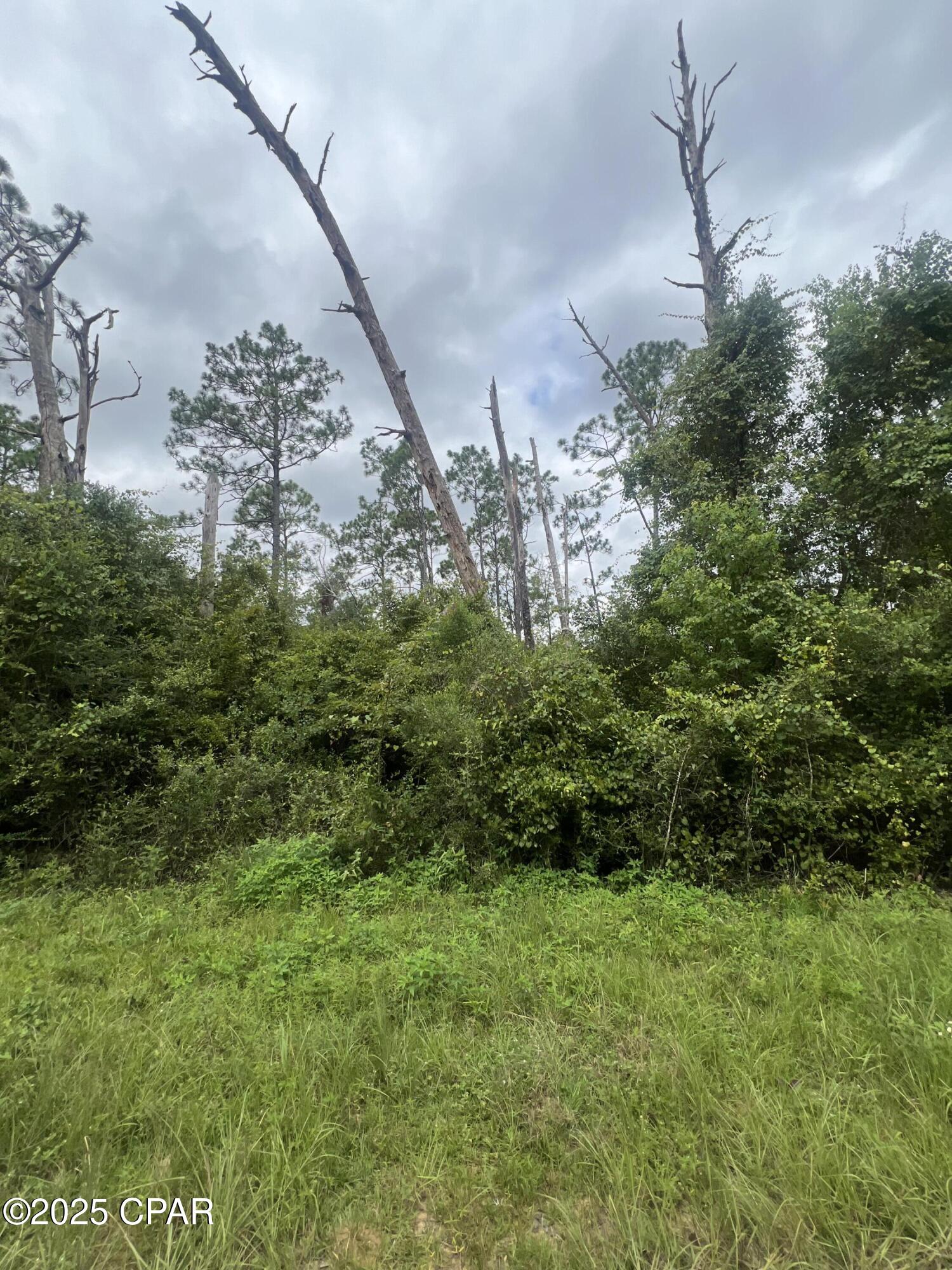 0 Brandon Road Fountain, FL 32438 - Photo 7 of 9