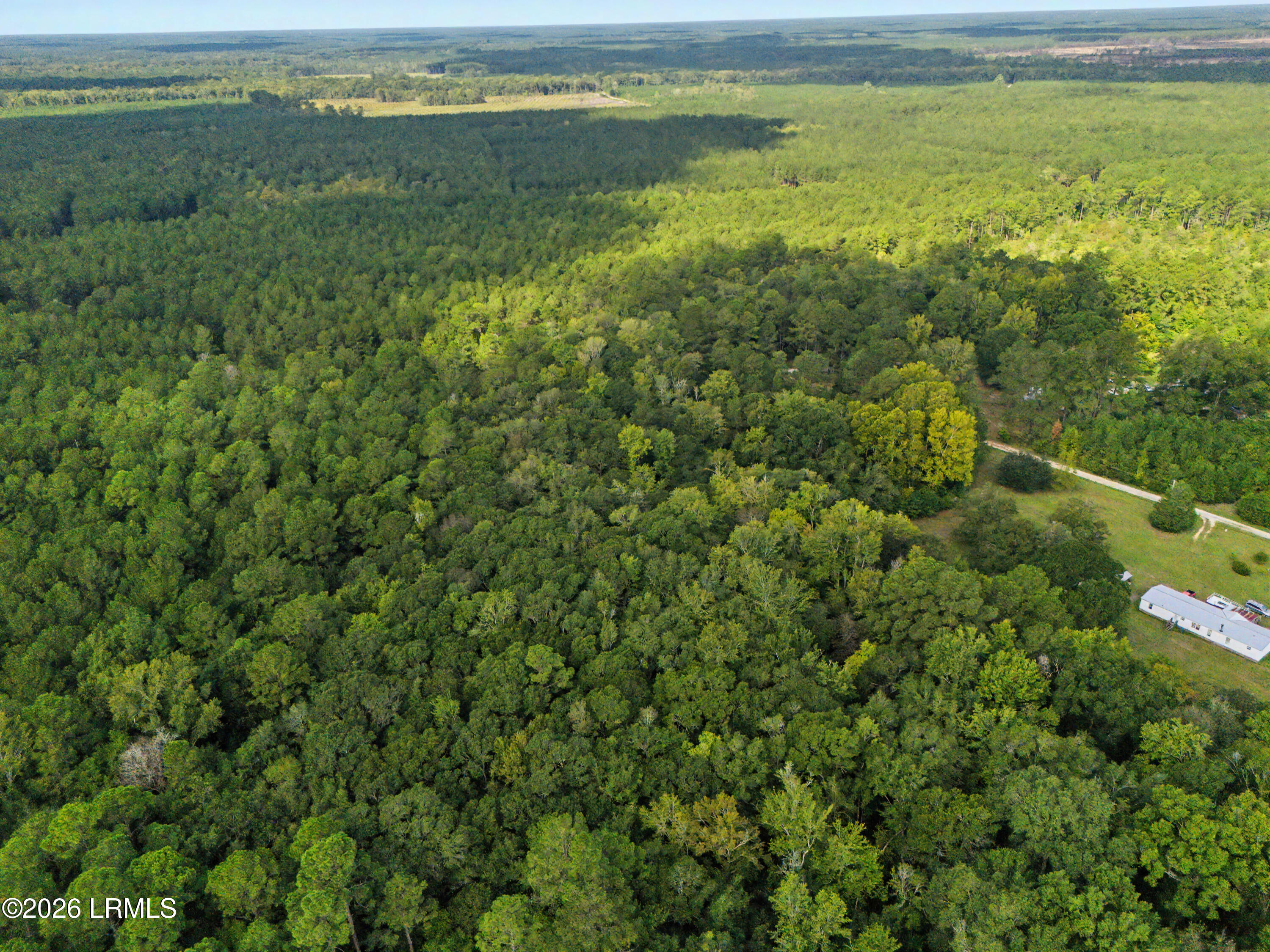 0 Tree Farm Road Walterboro, SC 29488 - Photo 17 of 30 DJI_20260921230008_0324_D