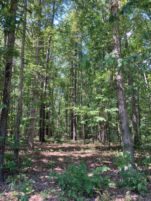 689 Crescent Road, Unit 4 Farmville, VA 23901 - Photo 1 of 2 Gallery Image 1