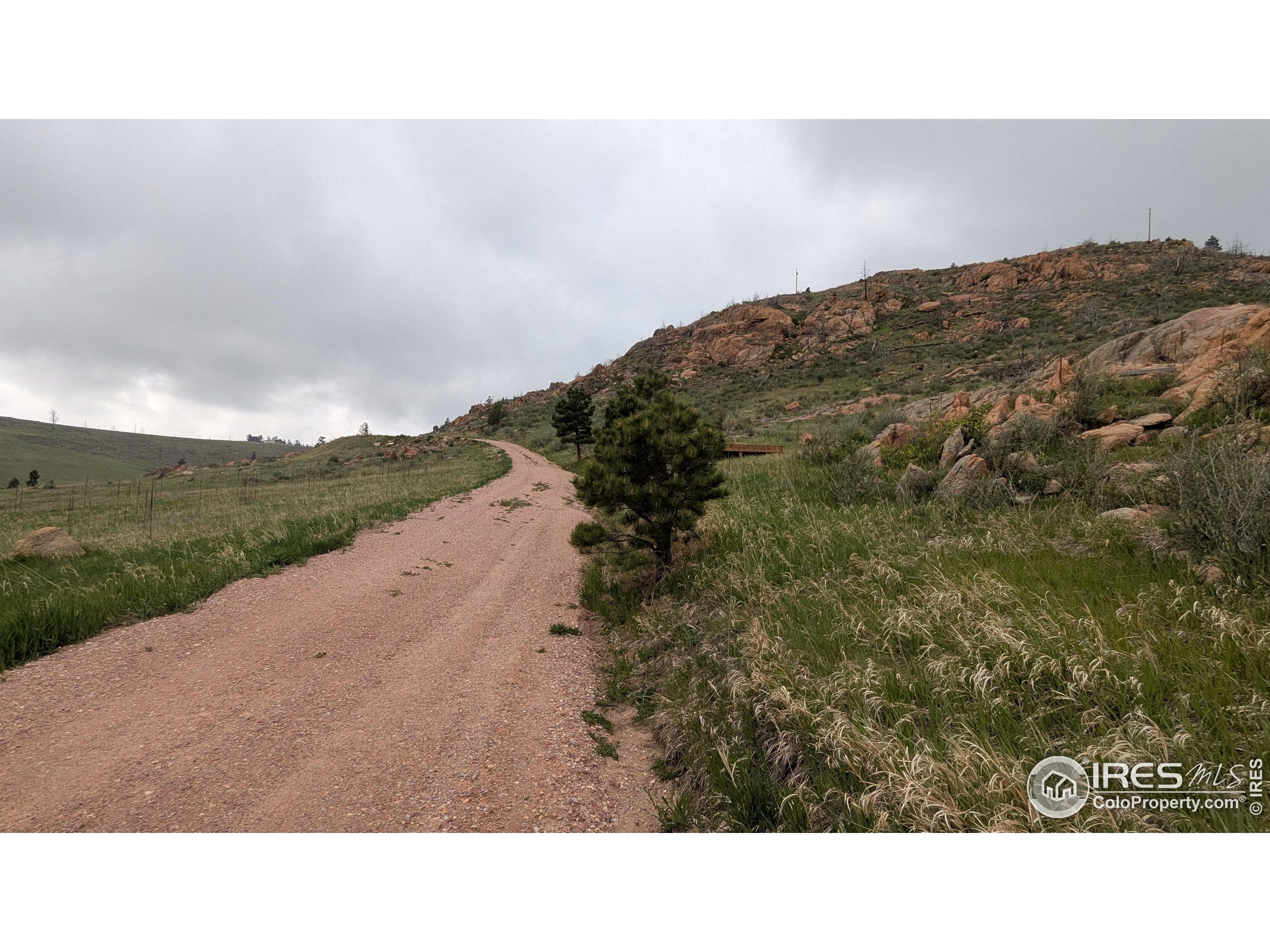 1191 Eiger Road Livermore, CO 80536 - Photo 11 of 17 a open area with a yard