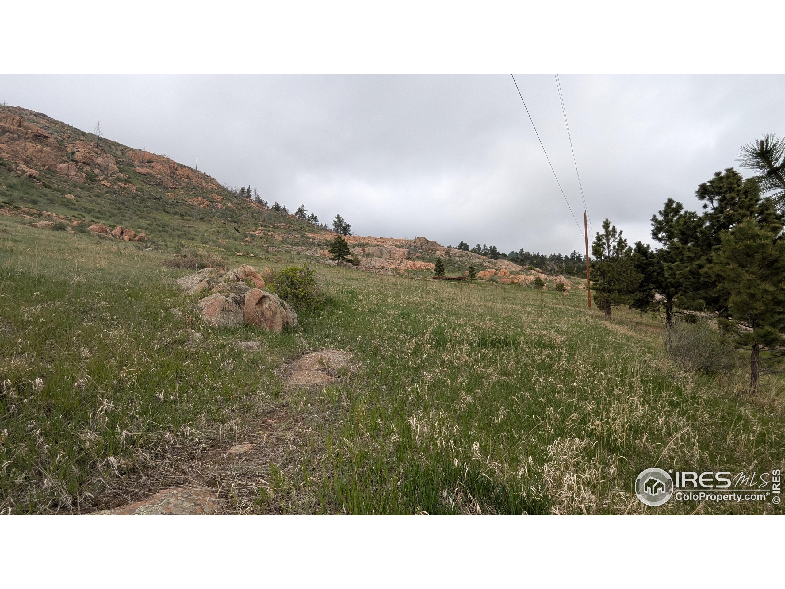 1191 Eiger Road Livermore, CO 80536 - Photo 12 of 17 a black and white photo of a lake