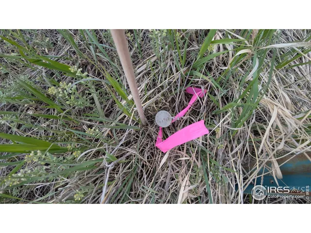 a black and white photo of a house