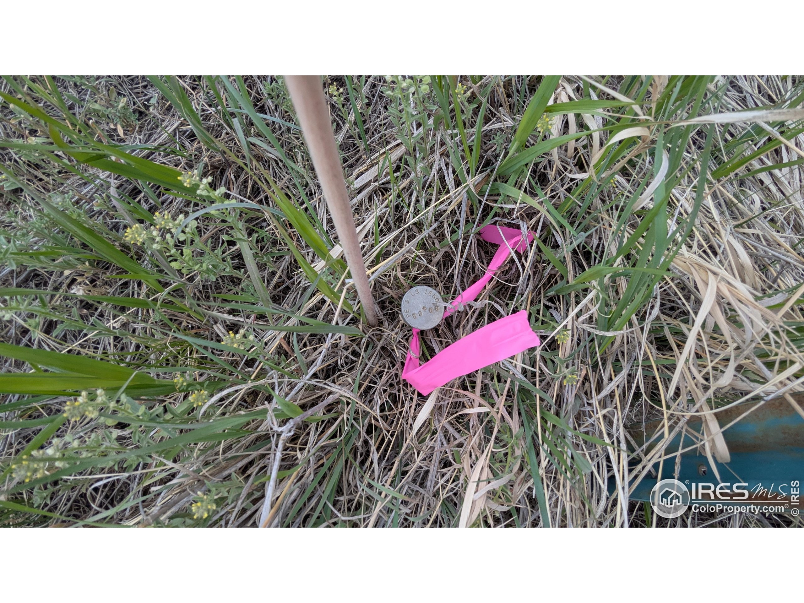 1191 Eiger Road Livermore, CO 80536 - Photo 14 of 17 a black and white photo of a house