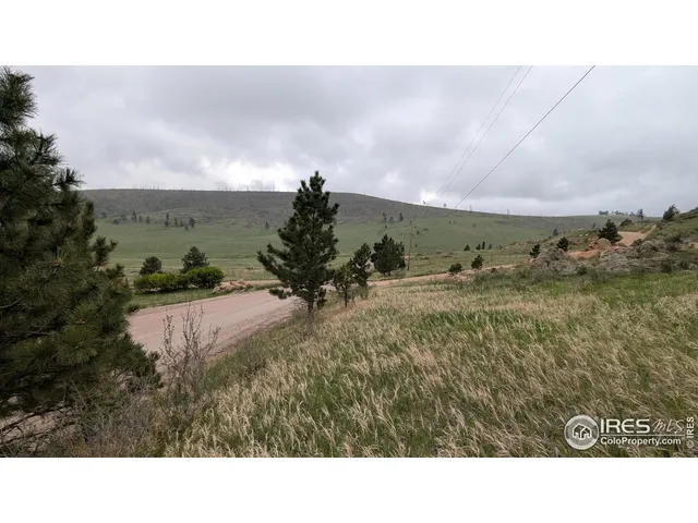 a black and white photo of a field