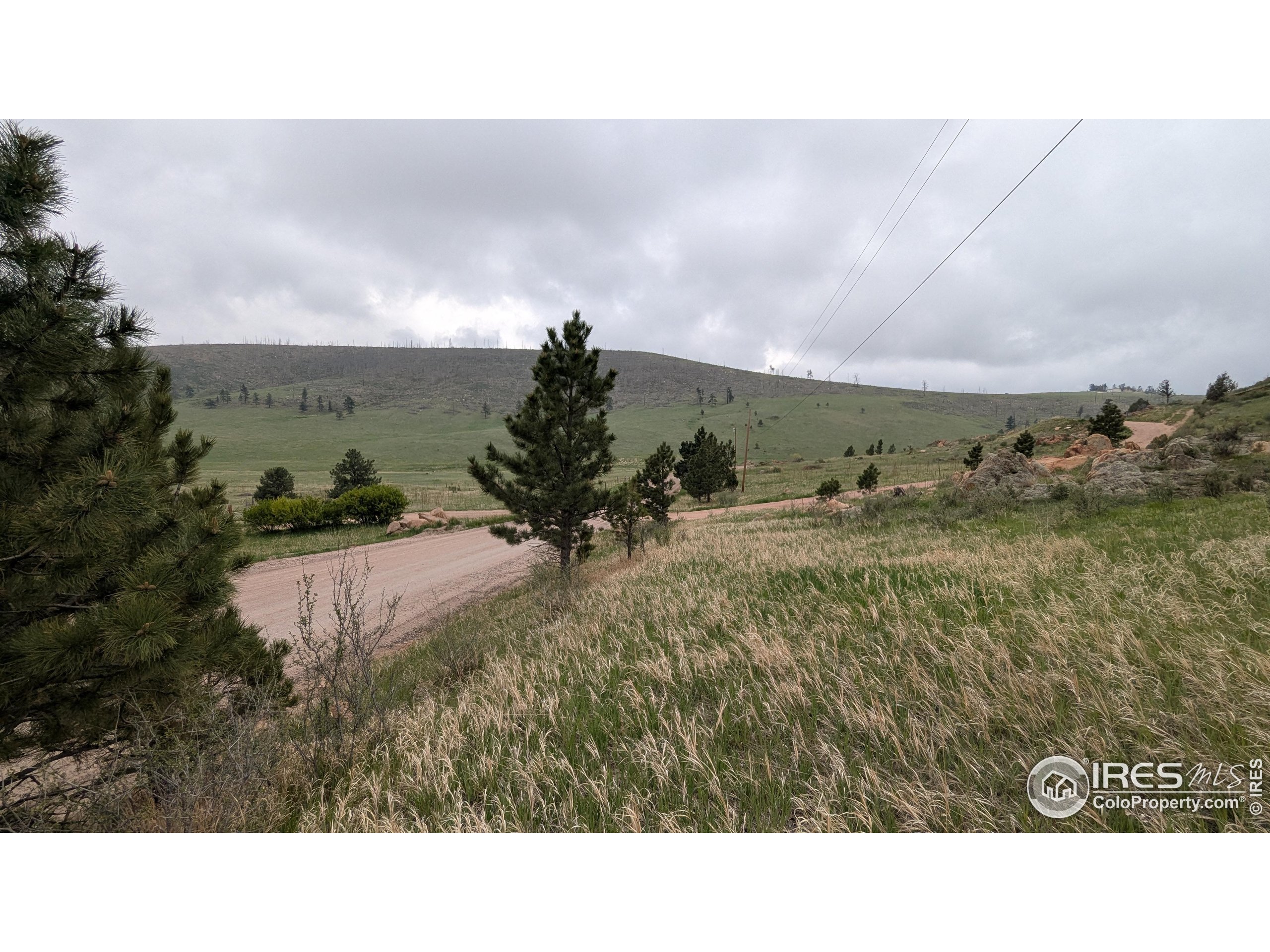 1191 Eiger Road Livermore, CO 80536 - Photo 15 of 17 a black and white photo of a field