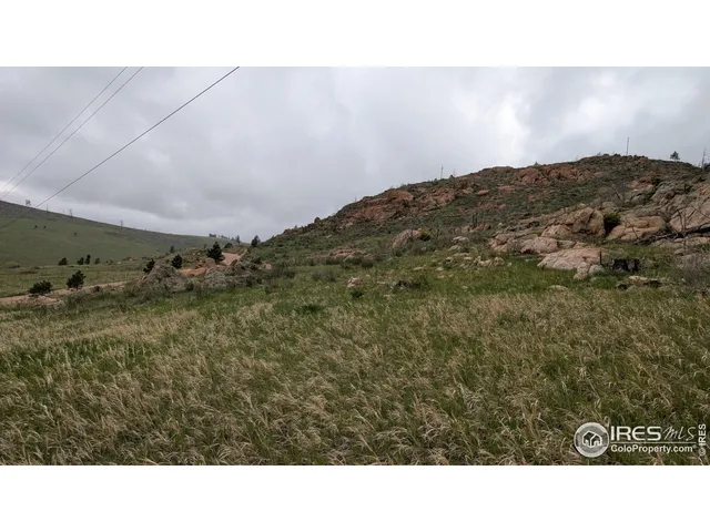 a open area with trees in the background