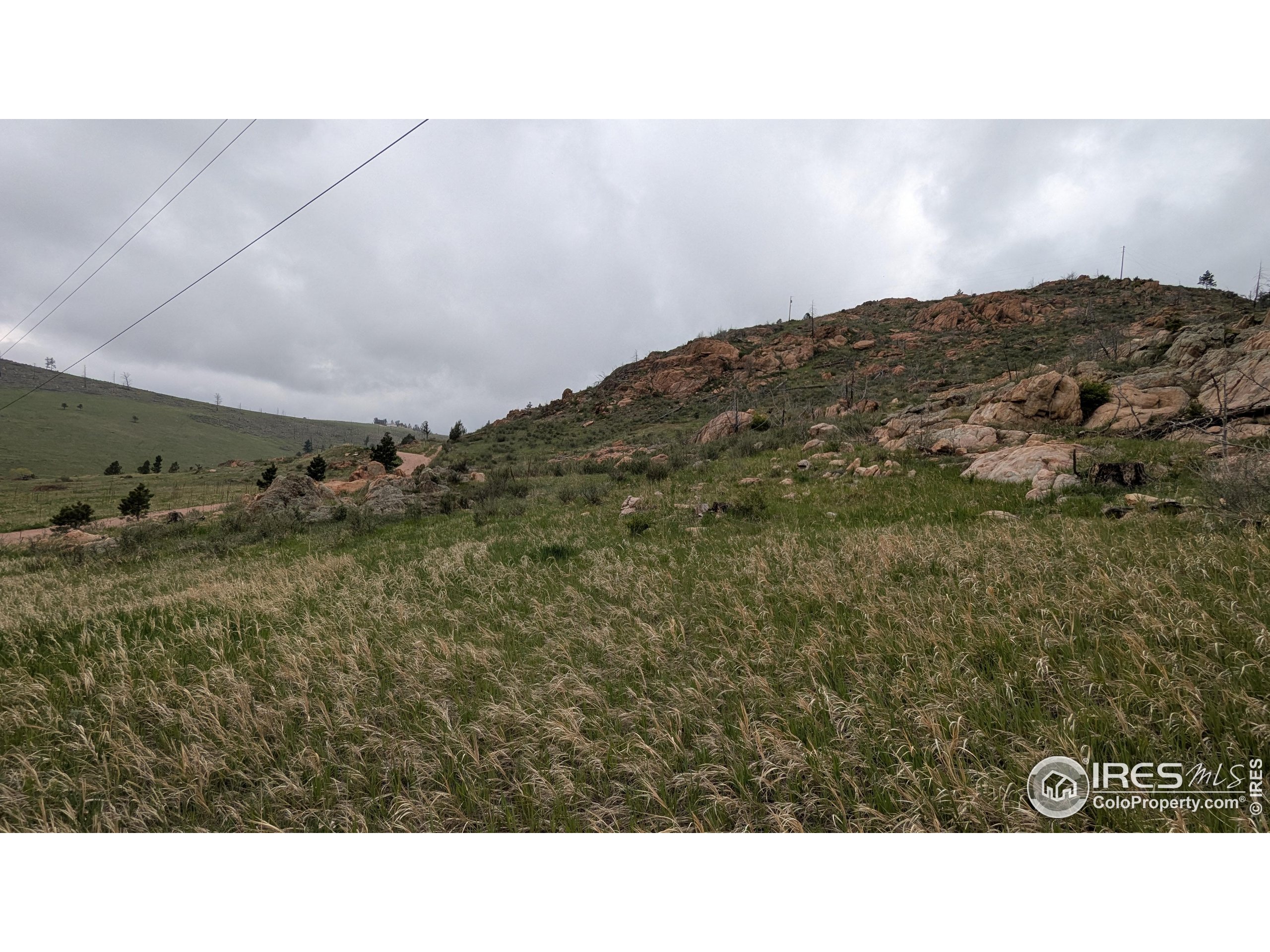 1191 Eiger Road Livermore, CO 80536 - Photo 16 of 17 a open area with trees in the background