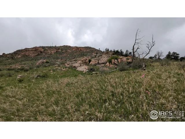 a black and white photo of a room