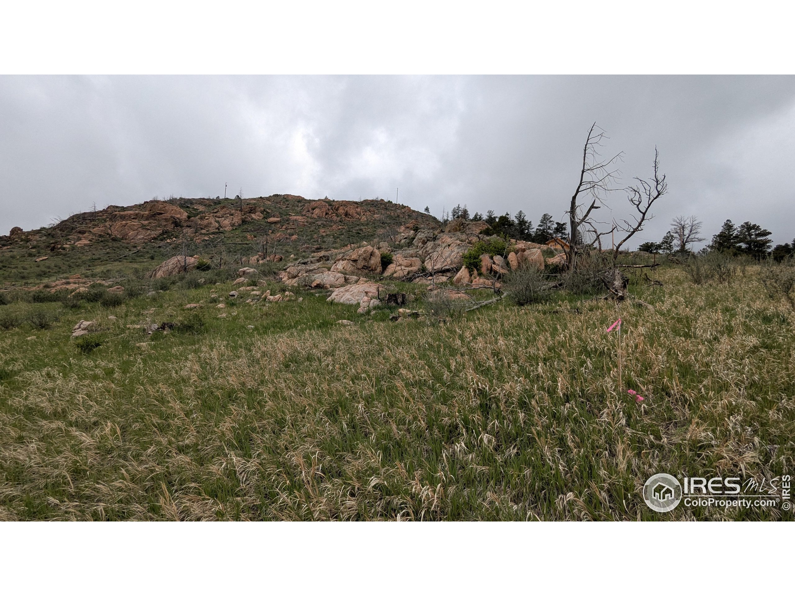 1191 Eiger Road Livermore, CO 80536 - Photo 17 of 17 a black and white photo of a room