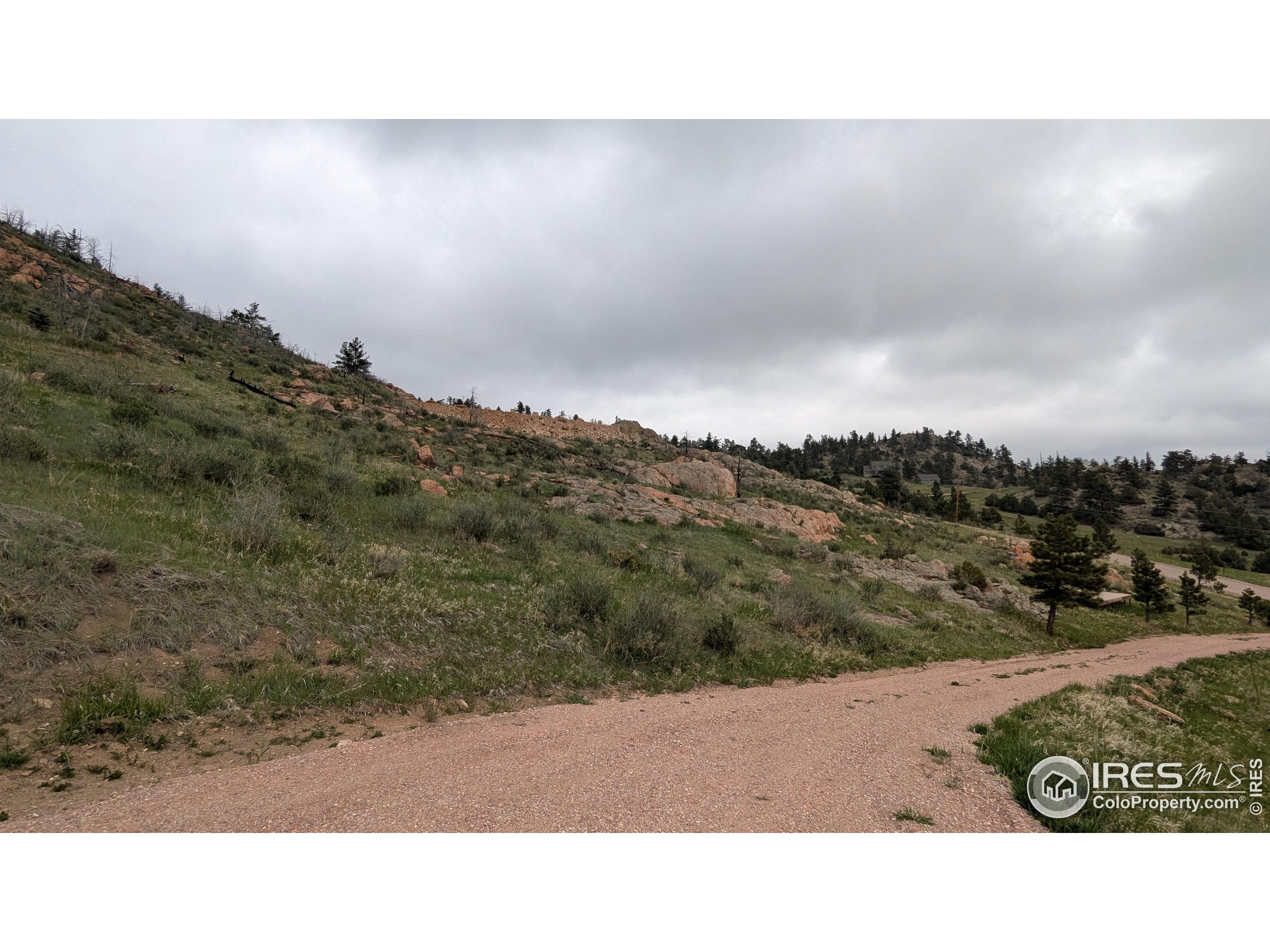 1191 Eiger Road Livermore, CO 80536 - Photo 2 of 17 a outdoor view