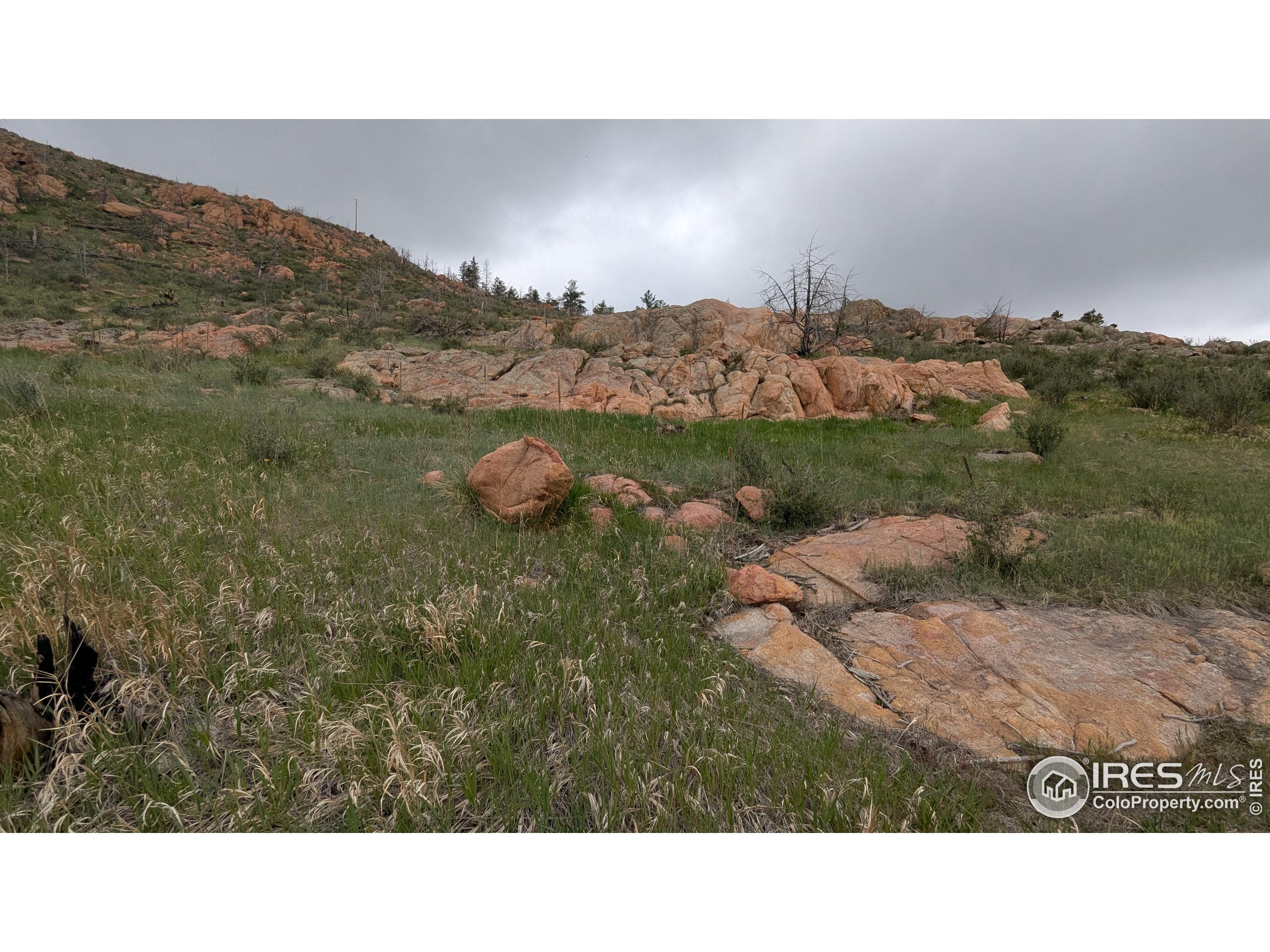 1191 Eiger Road Livermore, CO 80536 - Photo 8 of 17 a view of a city