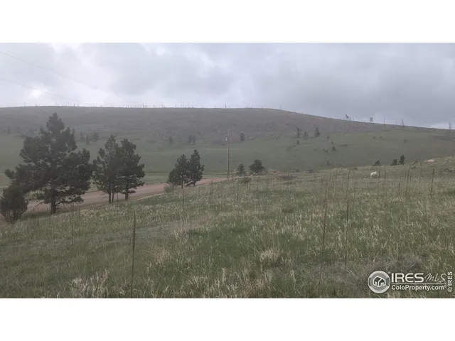 a black and white photo of a house