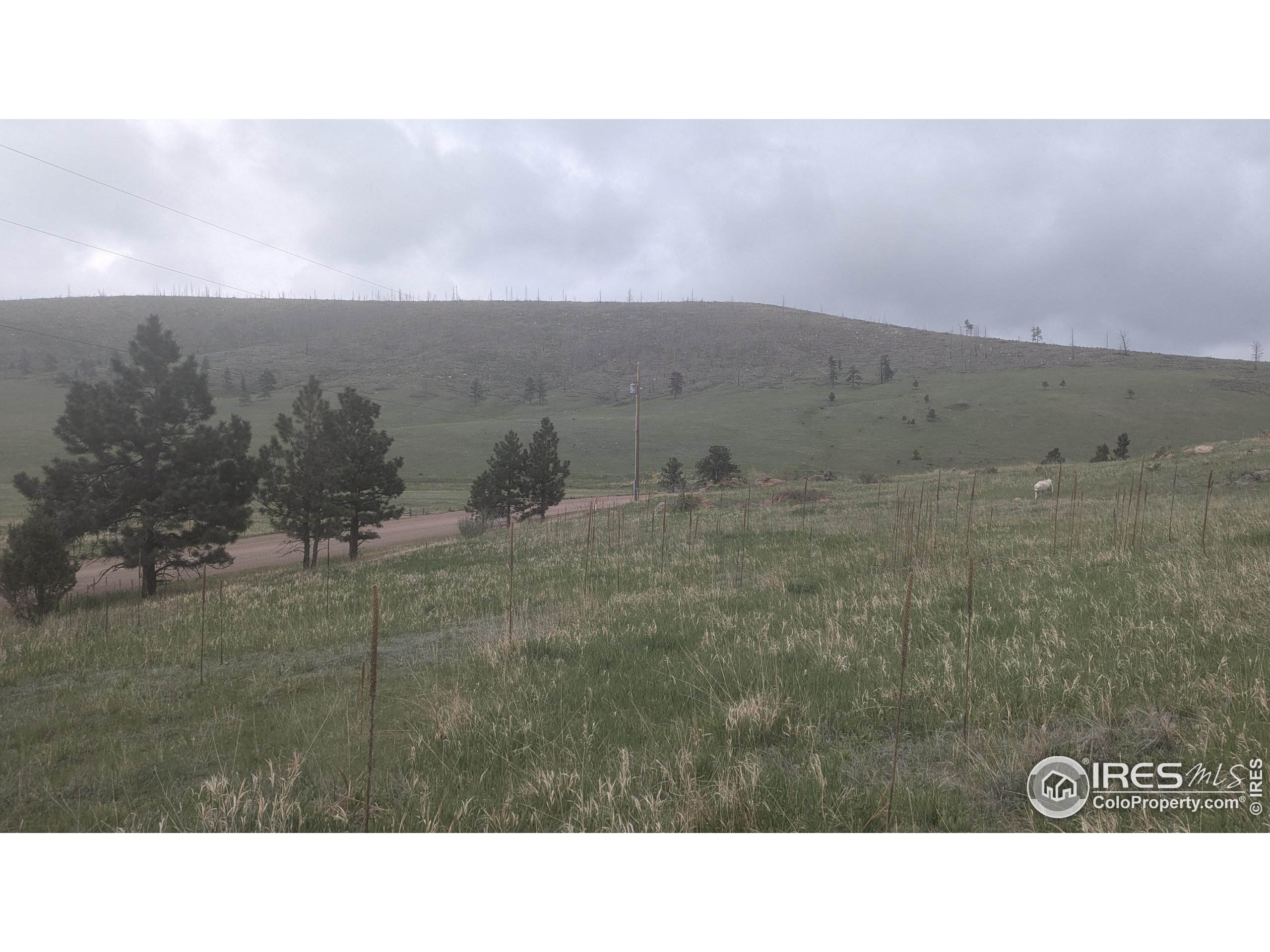 1191 Eiger Road Livermore, CO 80536 - Photo 9 of 17 a black and white photo of a house