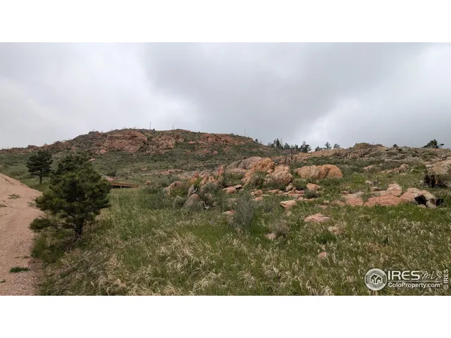 a black and white photo of a field