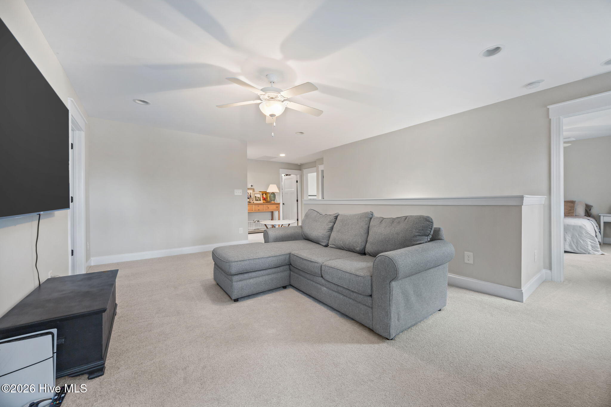 334 Bibey Road Carthage, NC 28327 - Photo 30 of 51 29-web-or-mls-IMG_9645