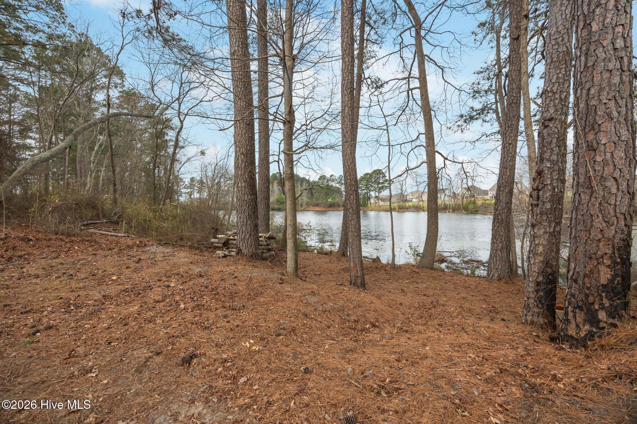 334 Bibey Road Carthage, NC 28327 - Photo 41 of 51 14-web-or-mls-IMG_9601