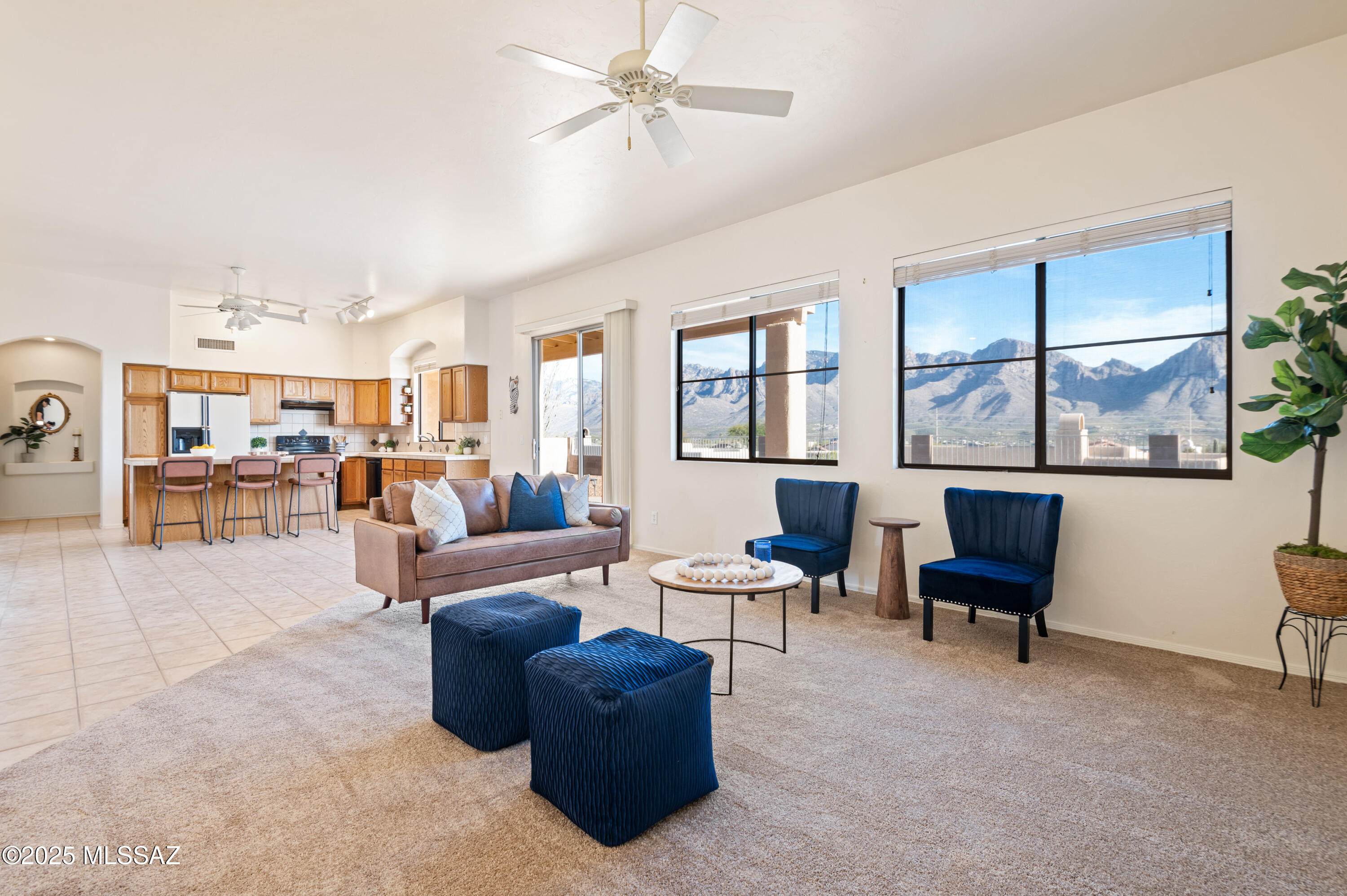359 West Wheeler Road Oro Valley, AZ 85737 - Photo 10 of 45 Gallery Image 10
