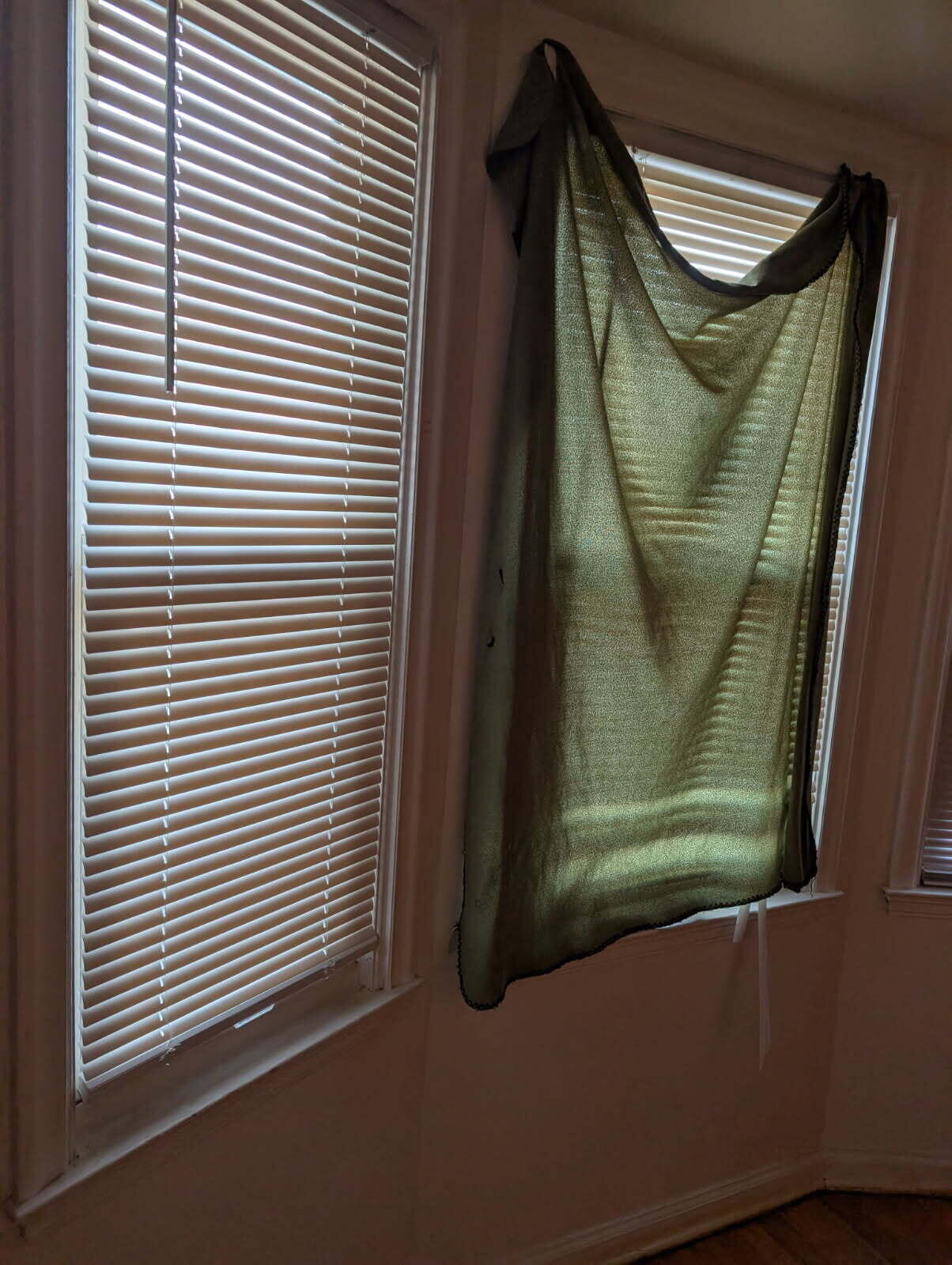 8309 Brace Street Detroit, MI 48228 - Photo 7 of 14 2885737312652975684