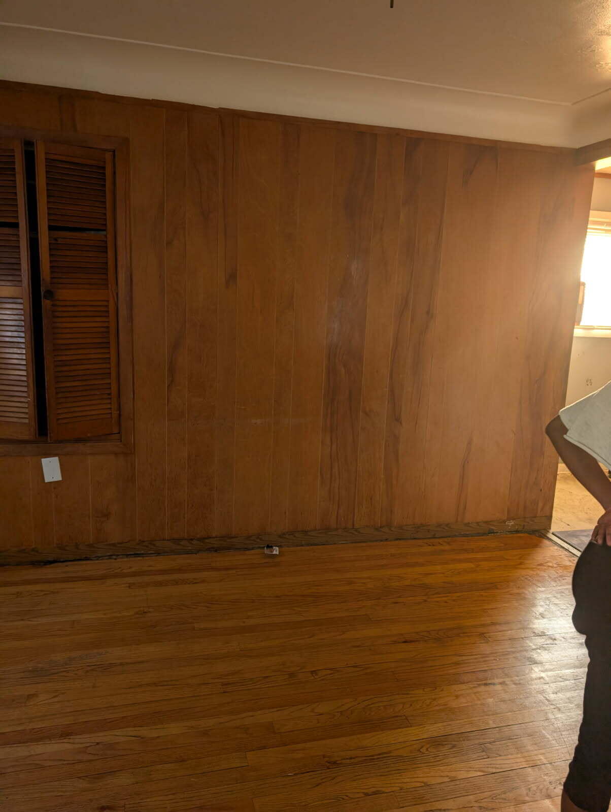 8309 Brace Street Detroit, MI 48228 - Photo 9 of 14 2096074538700301270