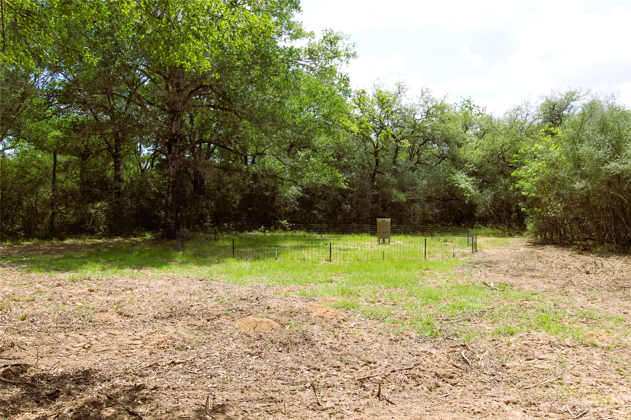 1105 Lakewood Road Sheridan, TX 77475 - Photo 11 of 29