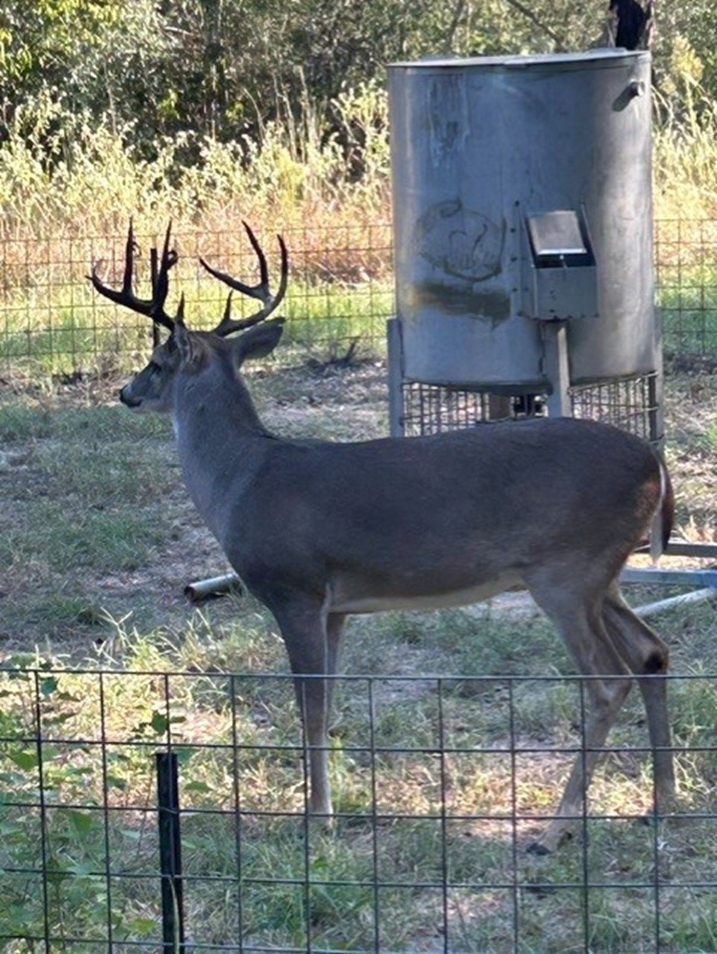 1105 Lakewood Road Sheridan, TX 77475 - Photo 12 of 29