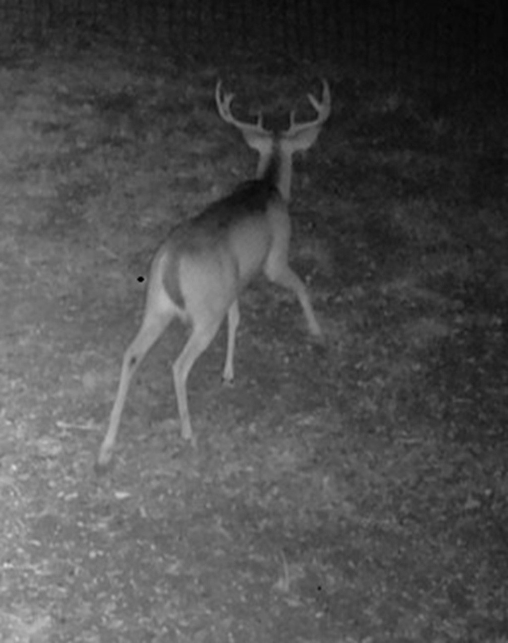 1105 Lakewood Road Sheridan, TX 77475 - Photo 13 of 29