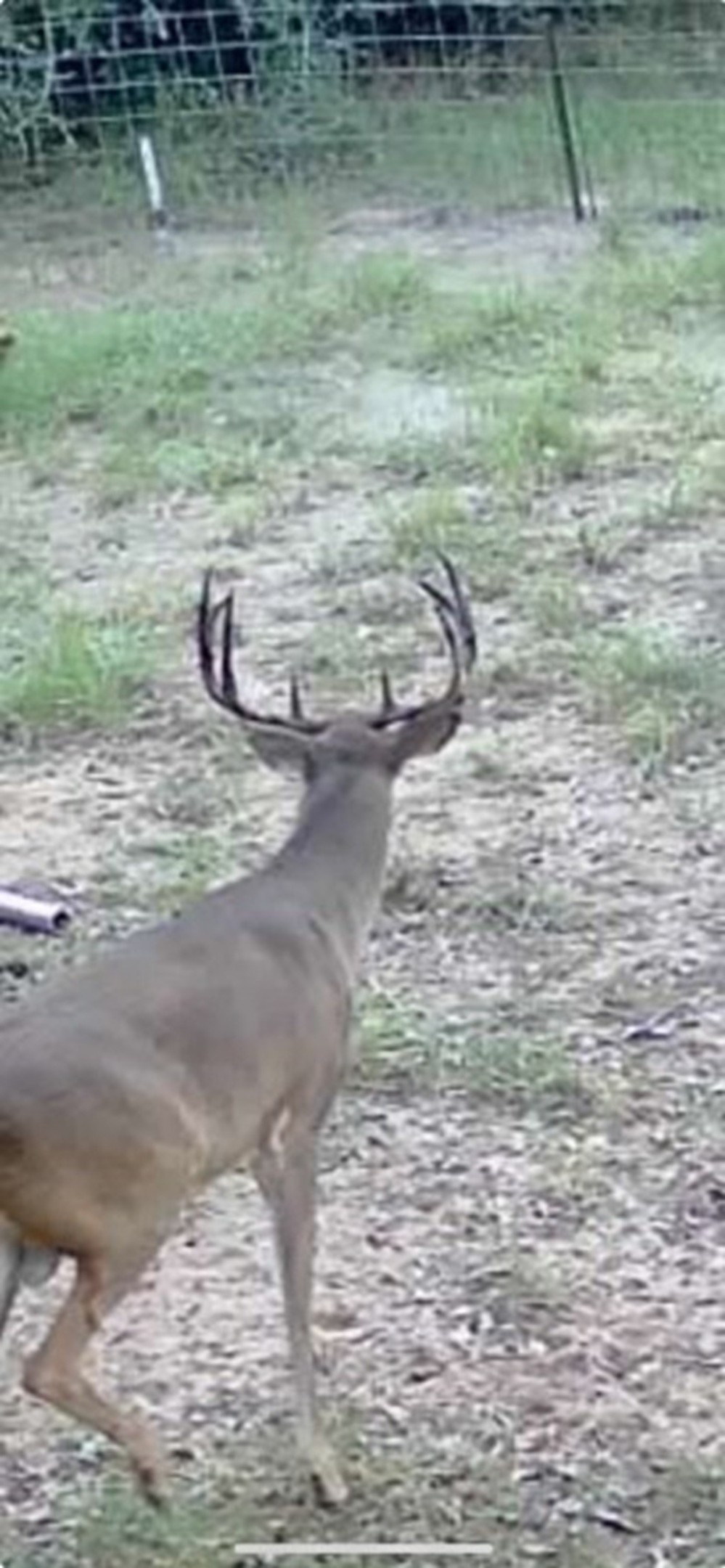 1105 Lakewood Road Sheridan, TX 77475 - Photo 15 of 29