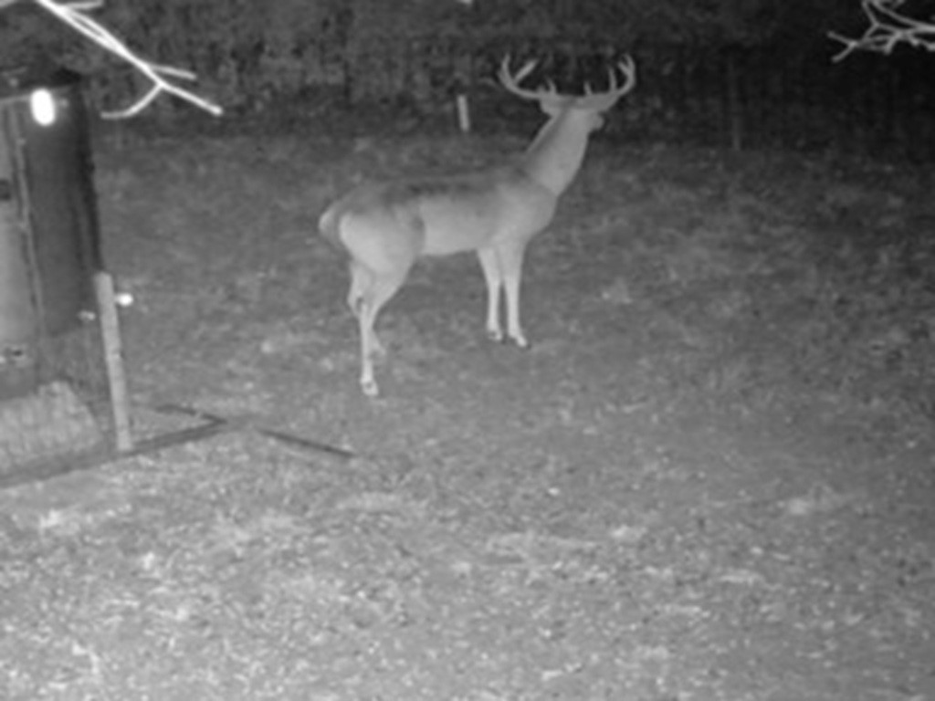 1105 Lakewood Road Sheridan, TX 77475 - Photo 16 of 29