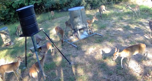 1105 Lakewood Road Sheridan, TX 77475 - Photo 17 of 29