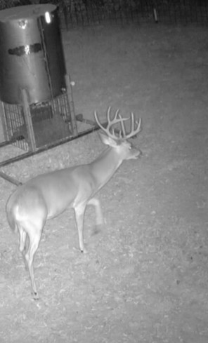 1105 Lakewood Road Sheridan, TX 77475 - Photo 18 of 29