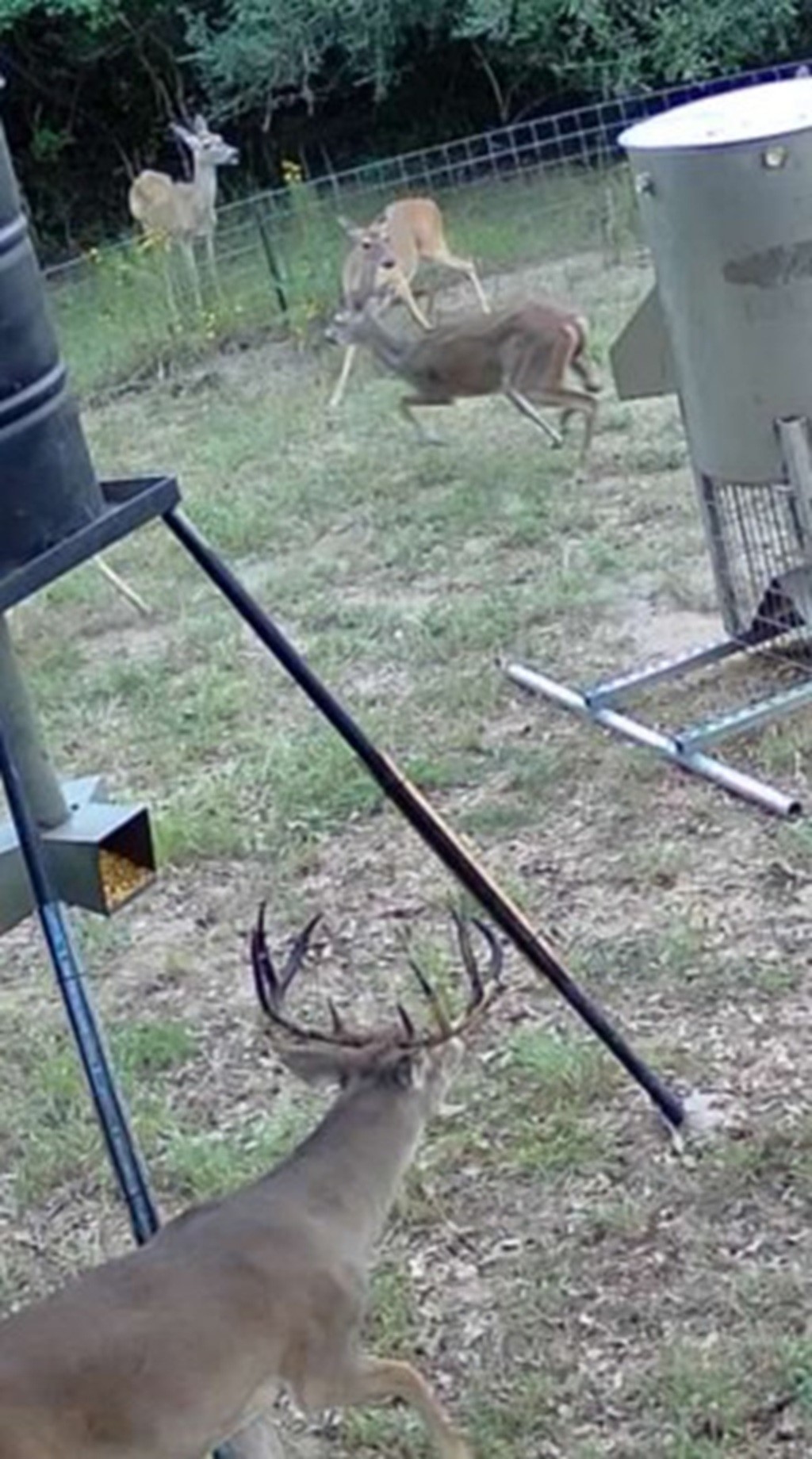 1105 Lakewood Road Sheridan, TX 77475 - Photo 19 of 29