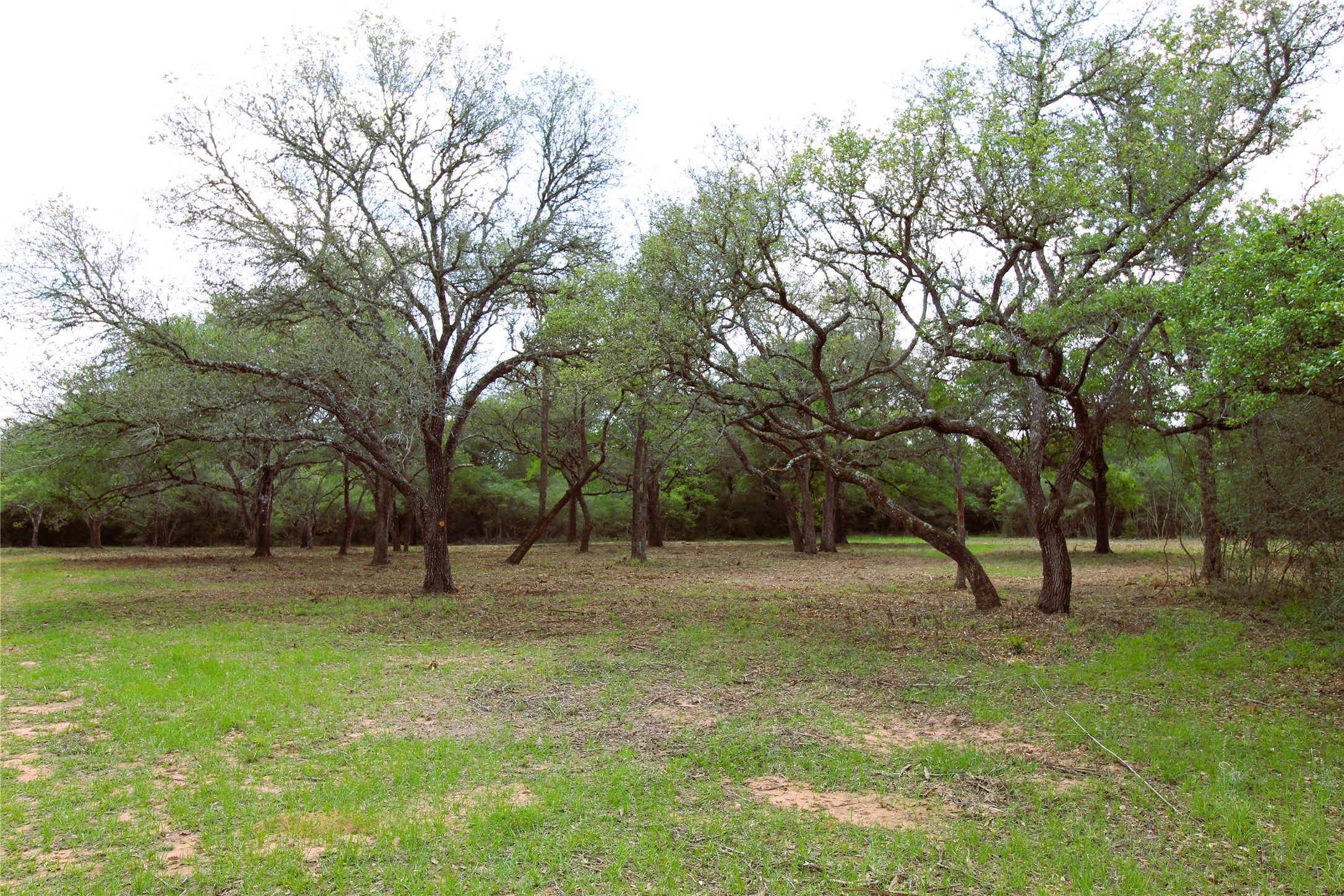 1105 Lakewood Road Sheridan, TX 77475 - Photo 2 of 29