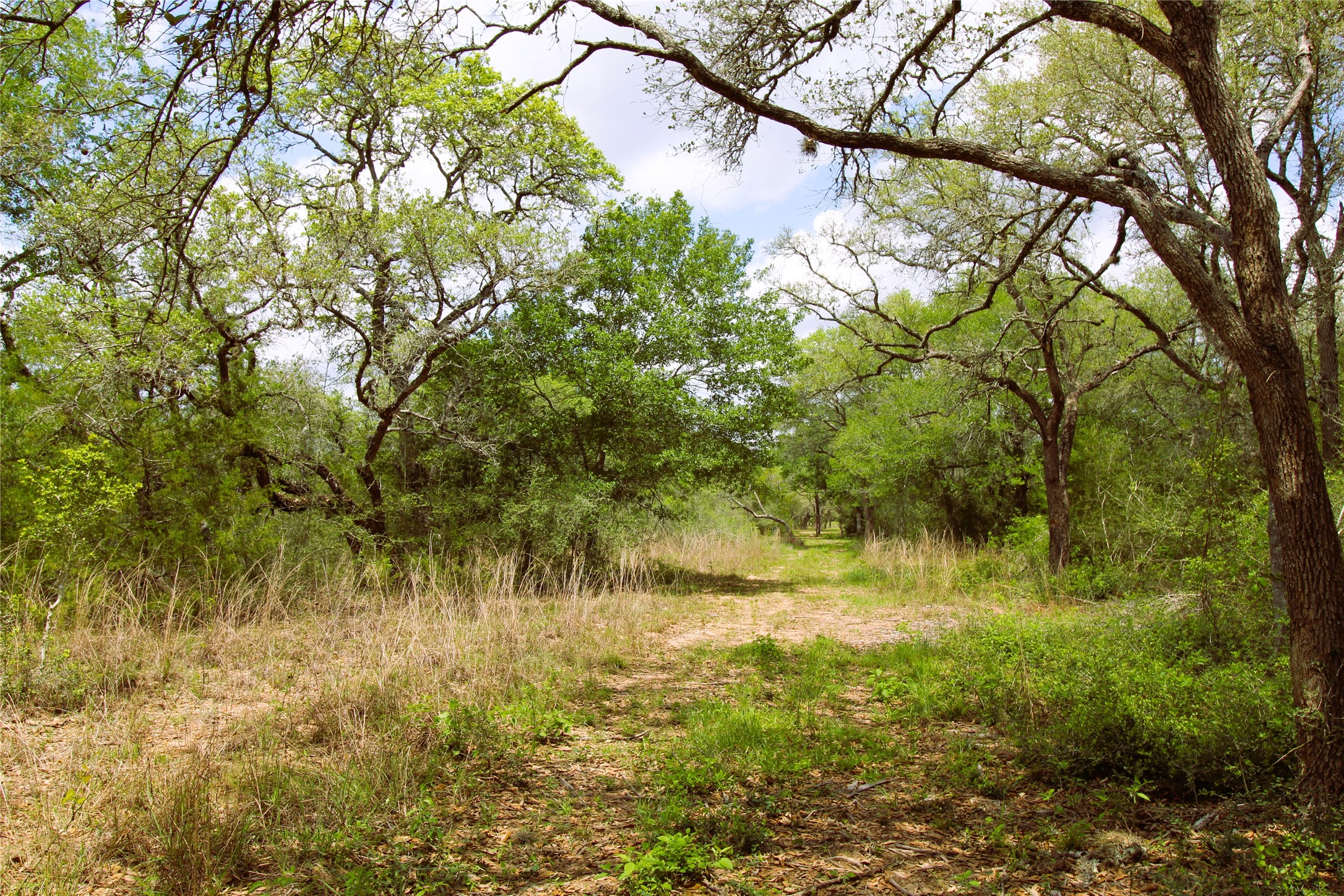 1105 Lakewood Road Sheridan, TX 77475 - Photo 23 of 29